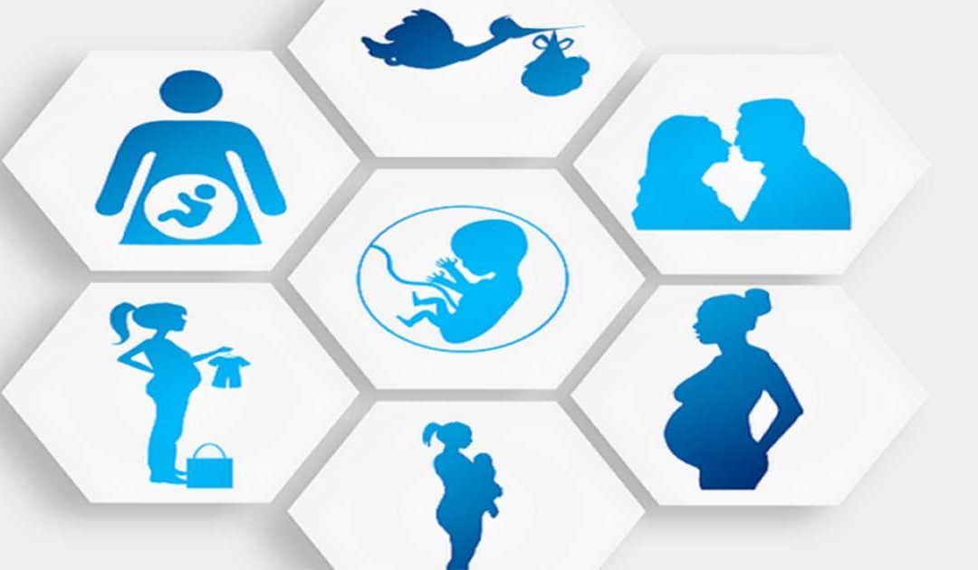 UN report warns against all forms of surrogacy