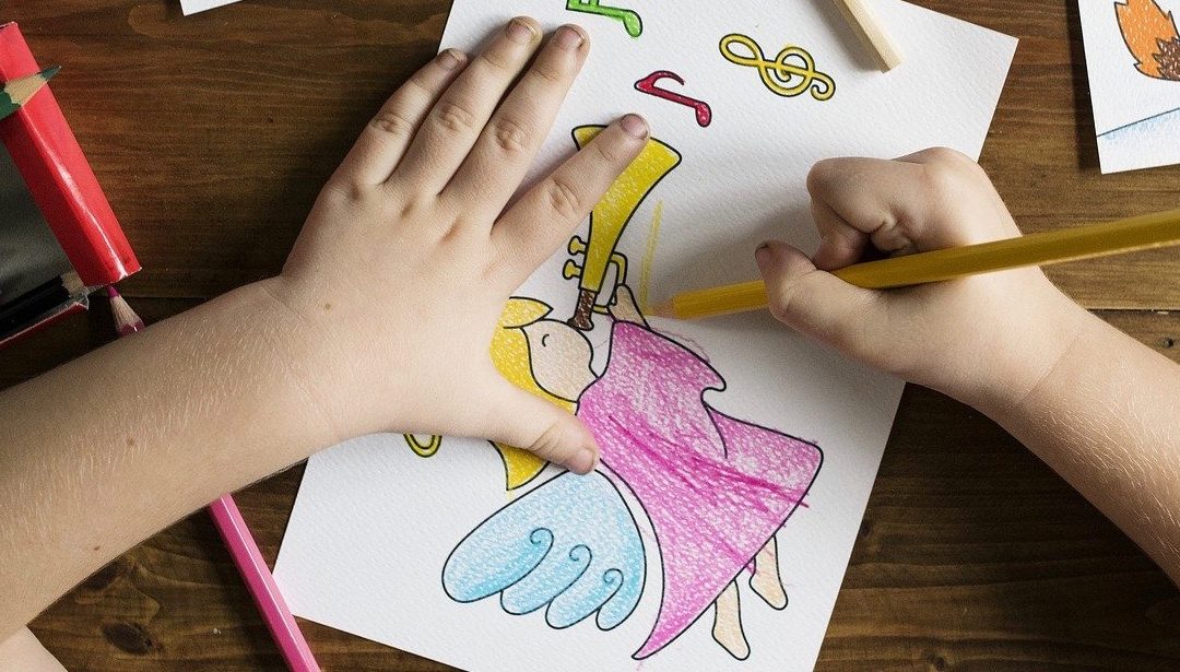 FAFCE activities